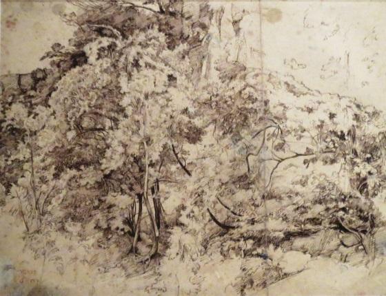 Камиль Коро. Лесной пейзаж. 1826-1827